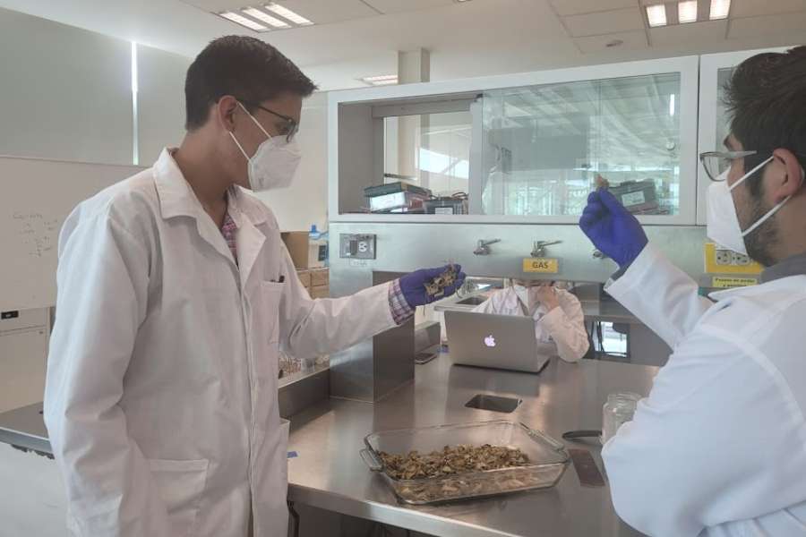 Creando en el laboratorio de biotecnología