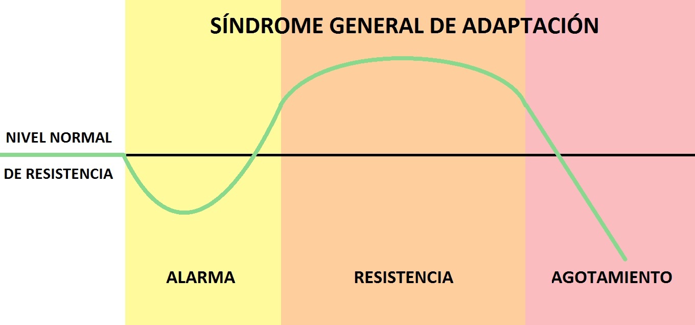 Tabla de Selye sobre el estrés