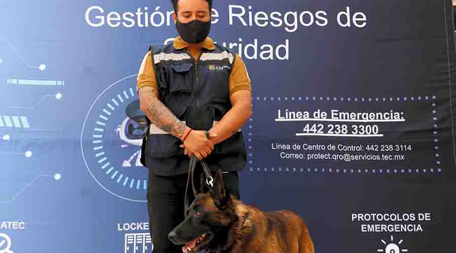 Sack perro guardián de la PrepaTec Querétaro