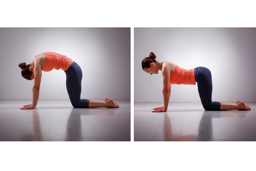 poses del gato y la vaca en yoga