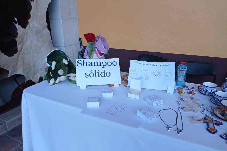 Primeros puestos de venta de Spoomy champú sólido