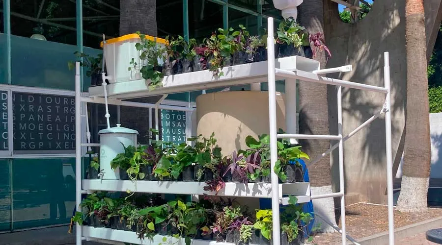 Los profesores Rubén Garnica Monroy, Diana García Cejudo, Rodrigo Pantoja Calderón y Viviana Barquero, lideran bajo la iniciativa de LIVING LAB, un proyecto de captación de agua de lluvia en el Tec campus Querétaro. 