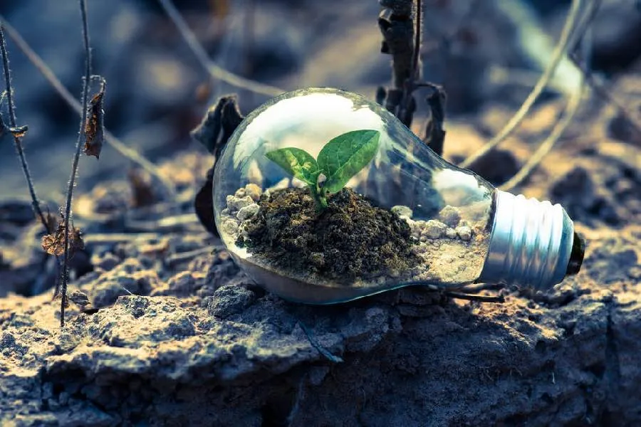 Recomendaciones para reducir nuestra huella ecológica