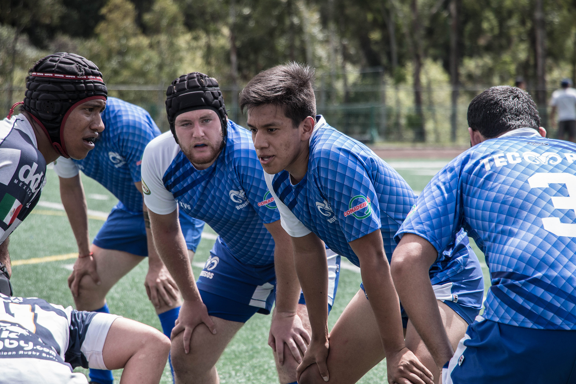 Los Borregos Puebla de rugby se levantaron de condiciones adversas en el torneo.