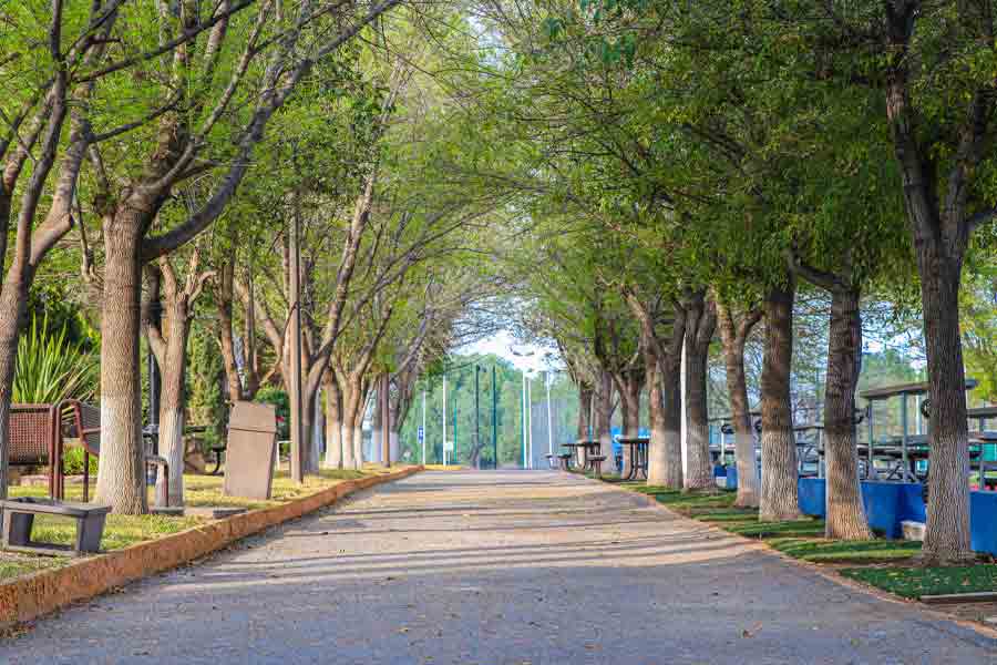 Pasillo verde en campus Saltillo