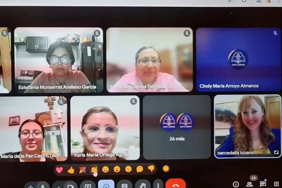 Cursos en línea llevados a cabo como parte de la capacitación