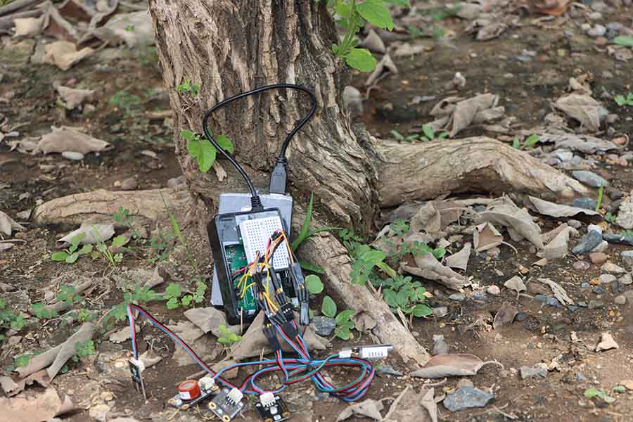 Sensores colocados en los árboles del campus Monterrey como parte del proyecto The Urbanism Tree: Sensing the Wellbeing of Trees.