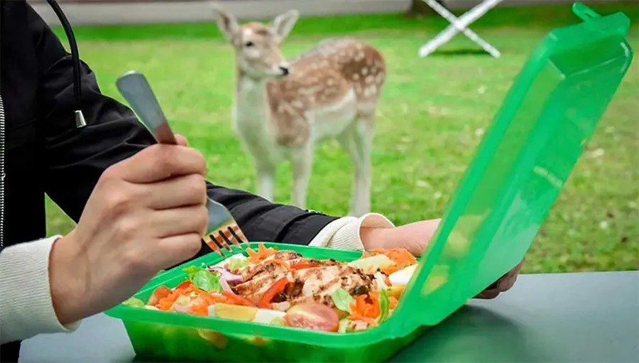 persona con un contenedor verde en lugar de plato desechable