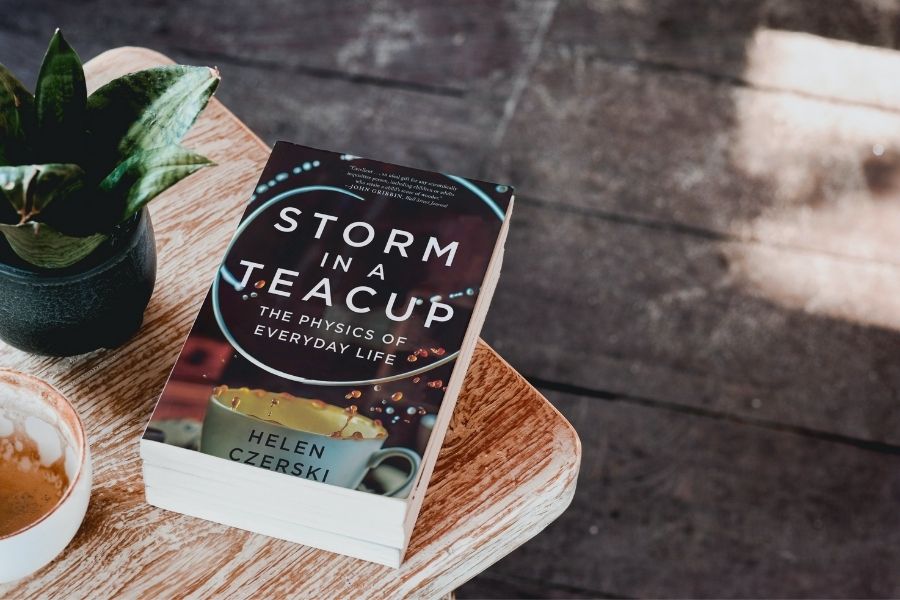 Storm in a Teacup: The Physics of Everyday Life