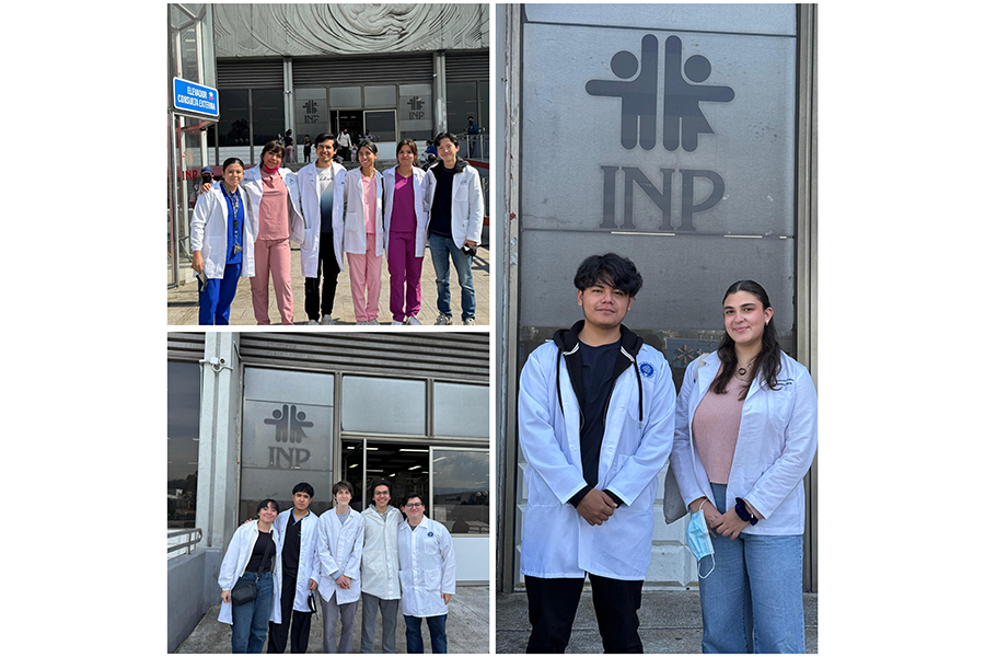 Nexus en el INP.