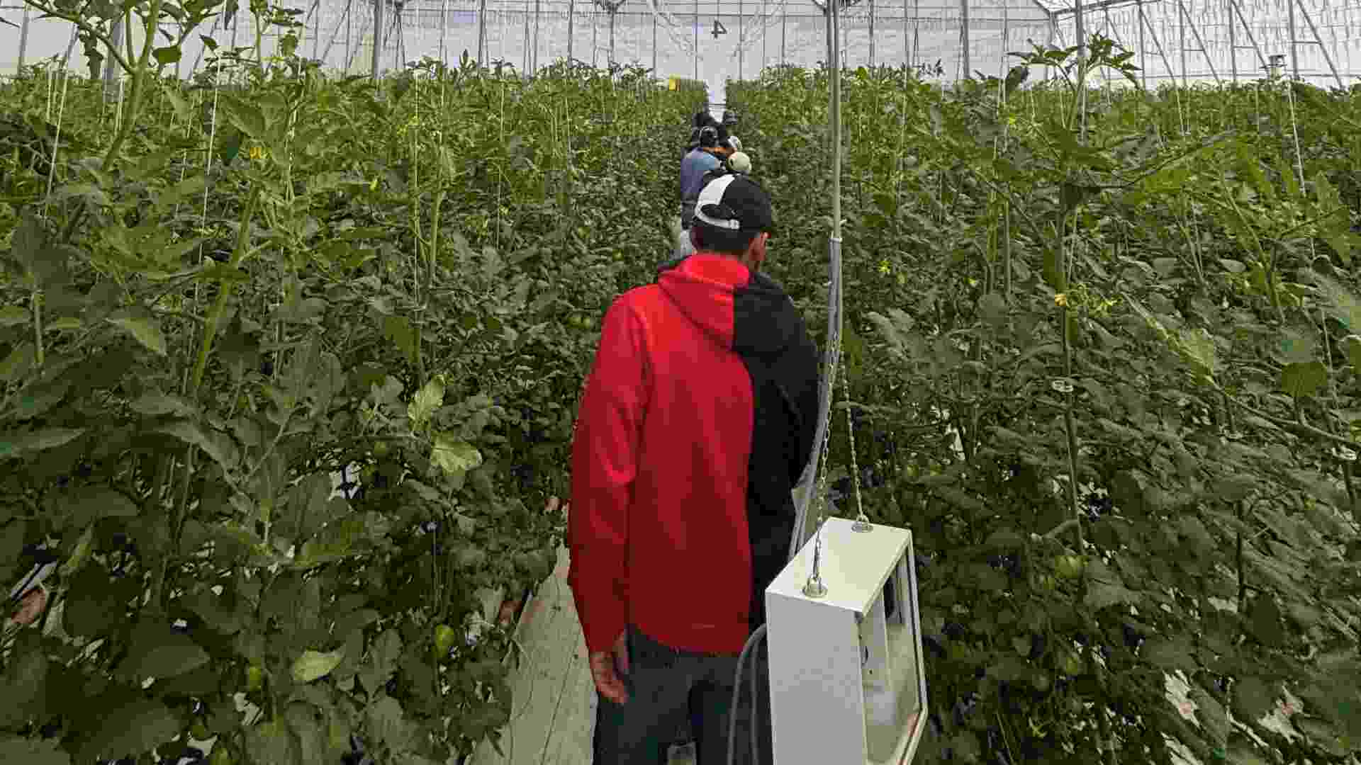 Alumnos desarrollan proyectos en innovaci&oacute;n agr&iacute;cola en el Centro de Agricultura Experimental 