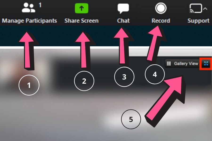 Vista de capturas de la aplicación ZOOM con explicación de funciones como Share y Manage Participants