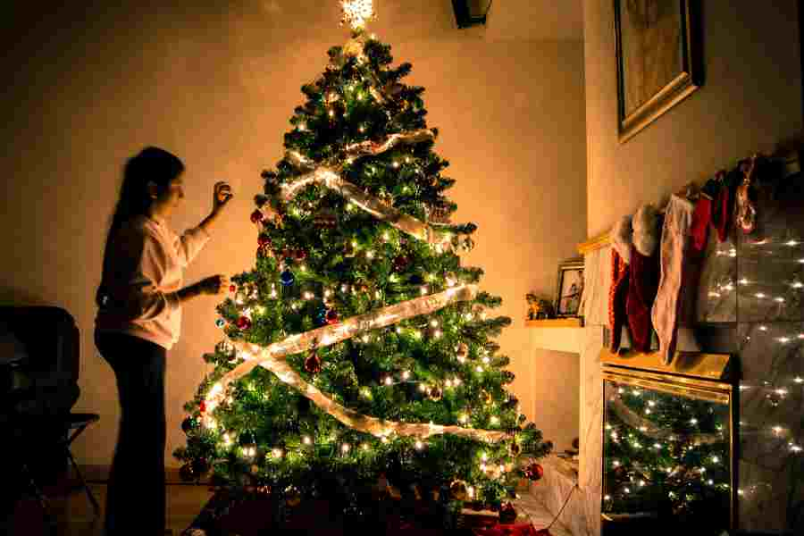 La elección del árbol de Navidad es muy importante cuando se trata de ser sustentable