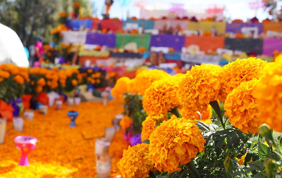 Tradiciones de las etnias indígenas en Sonora en el Día de Muertos