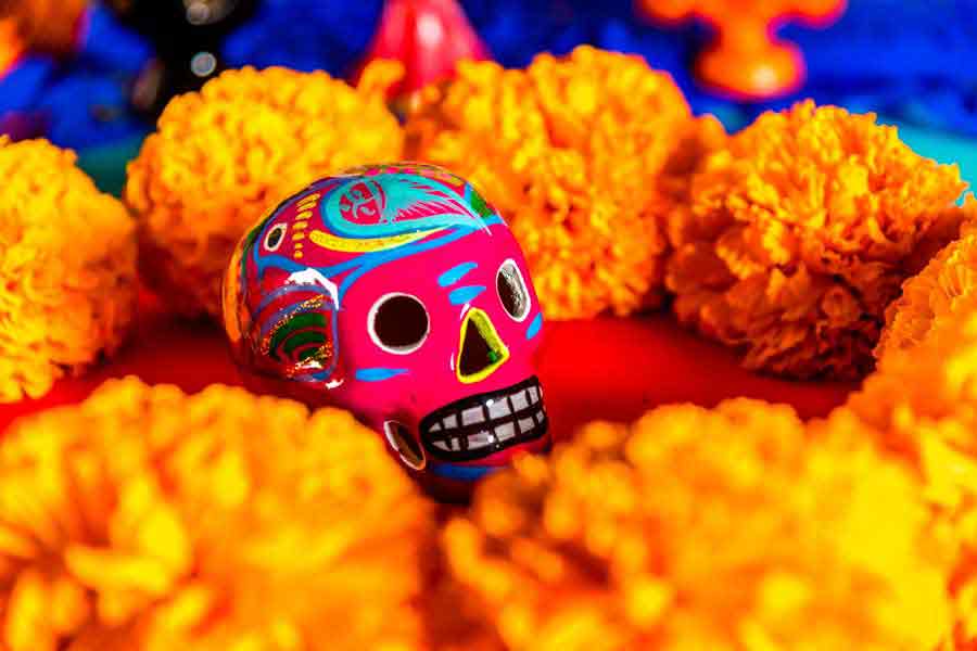 Calaverita color rosa rodeada de flor de cempasúchil. 