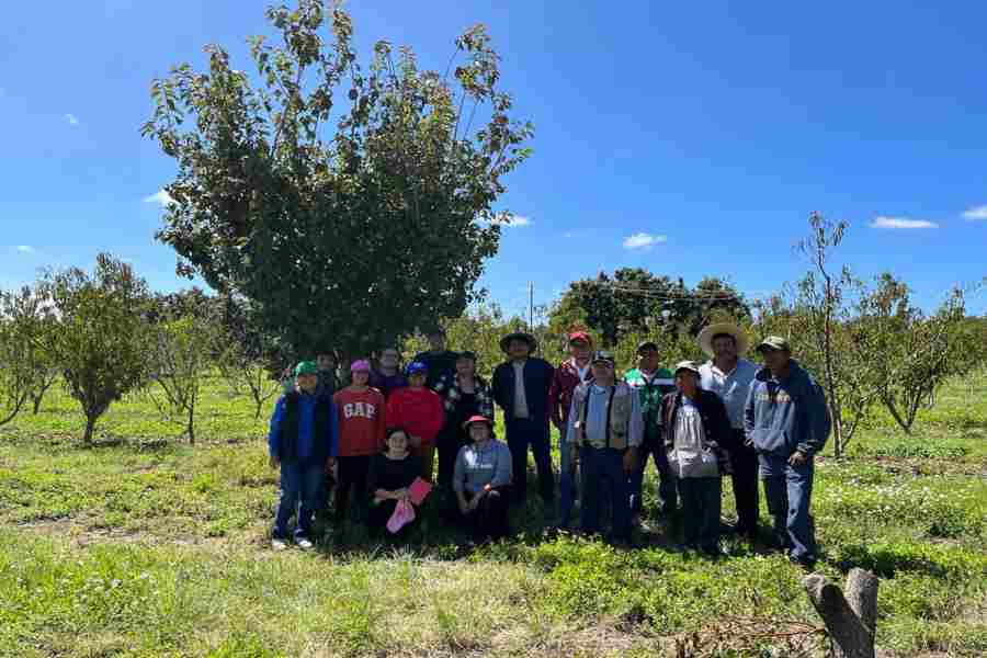 El proyecto surgido en 2019 rindió frutos