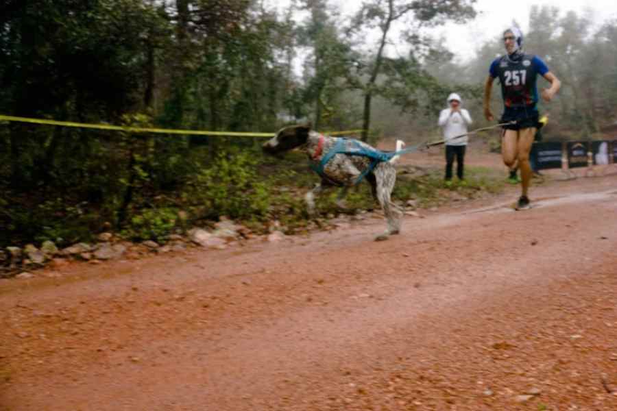 Oscar y Aslan en competencia