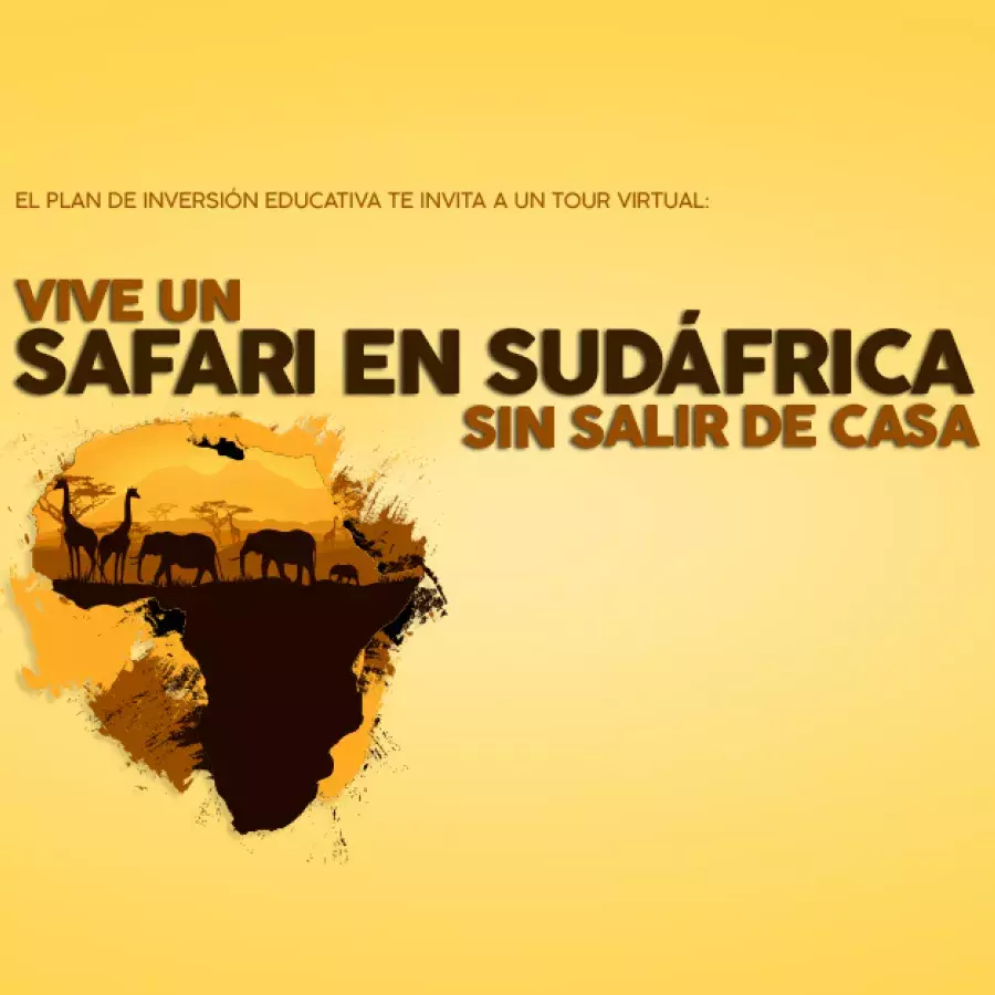 Vive un safari en Sudáfrica sin salir de casa |