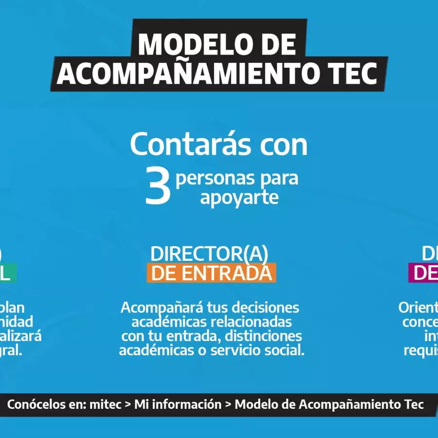 modelo de acompañamiento.