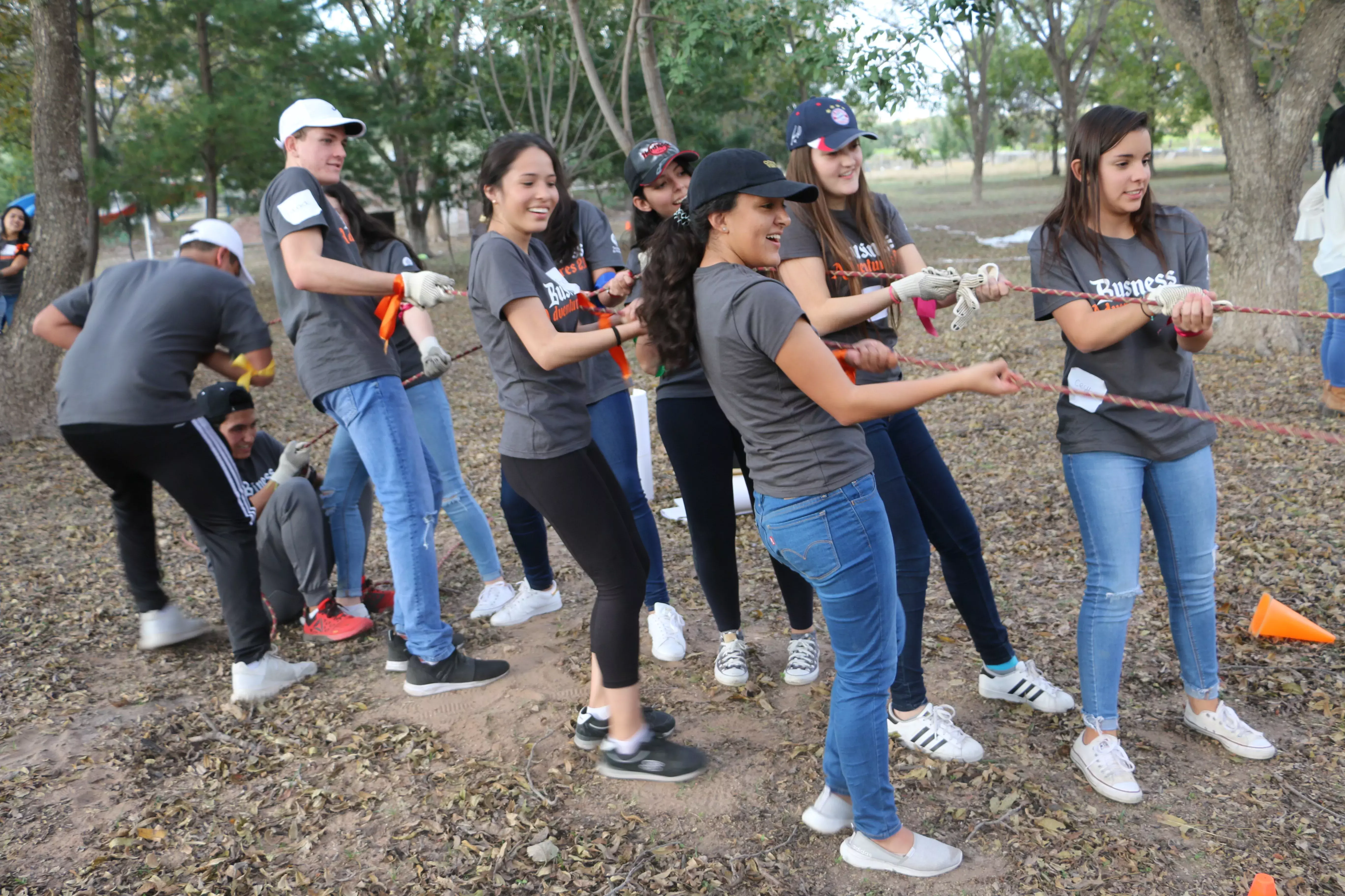 Trabajando en equipo