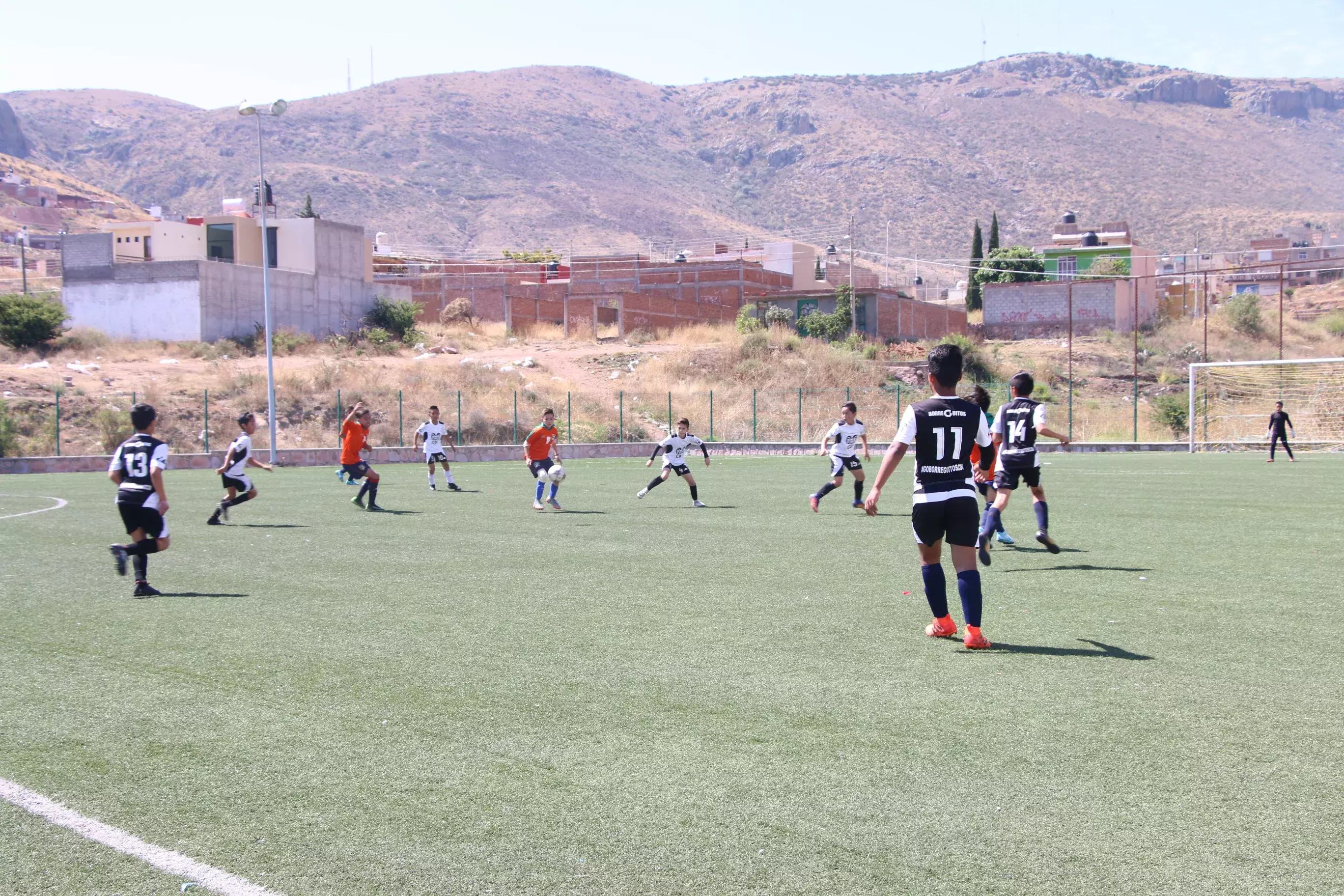 Canchas