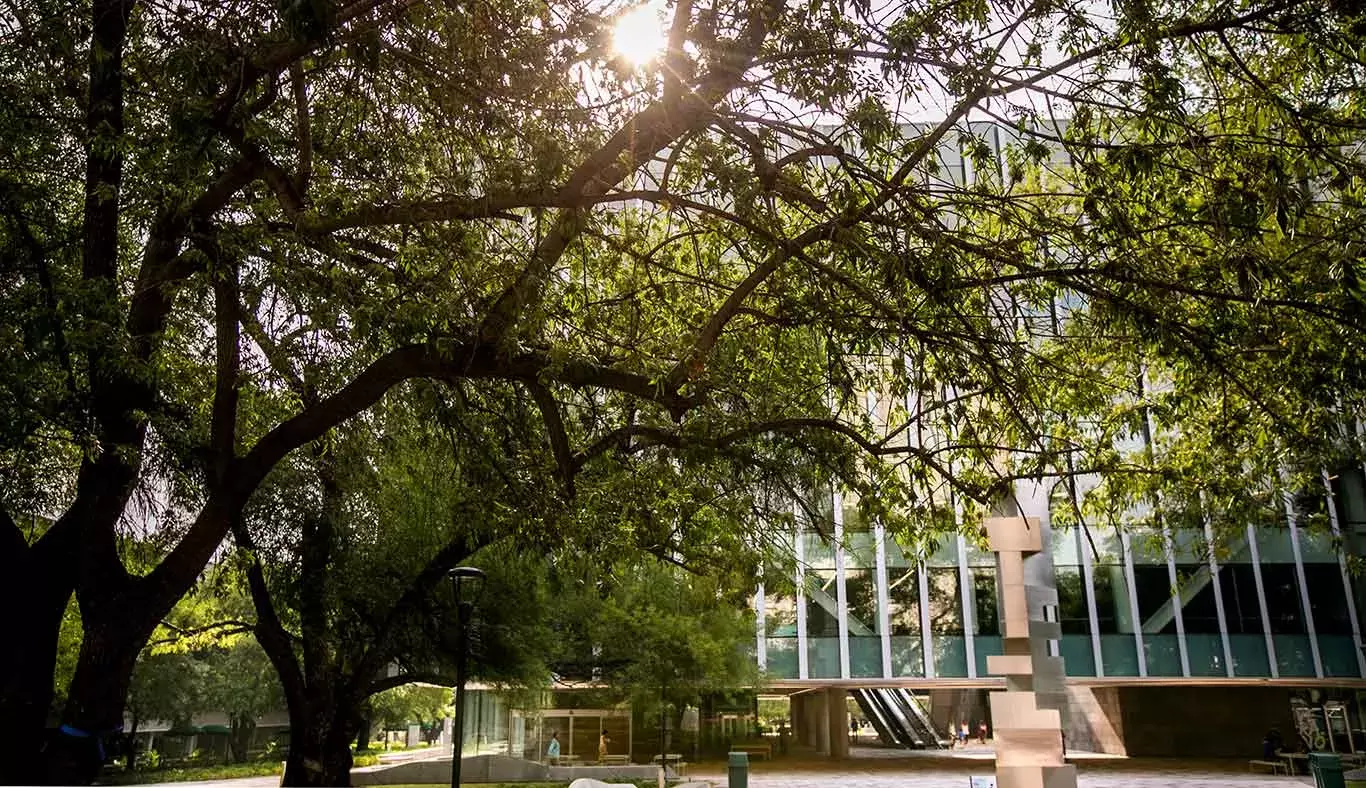 Biblio TEC en campus Monterrey