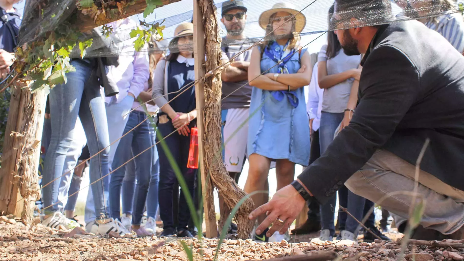 Actividad en terreno natural en Chihuahua.