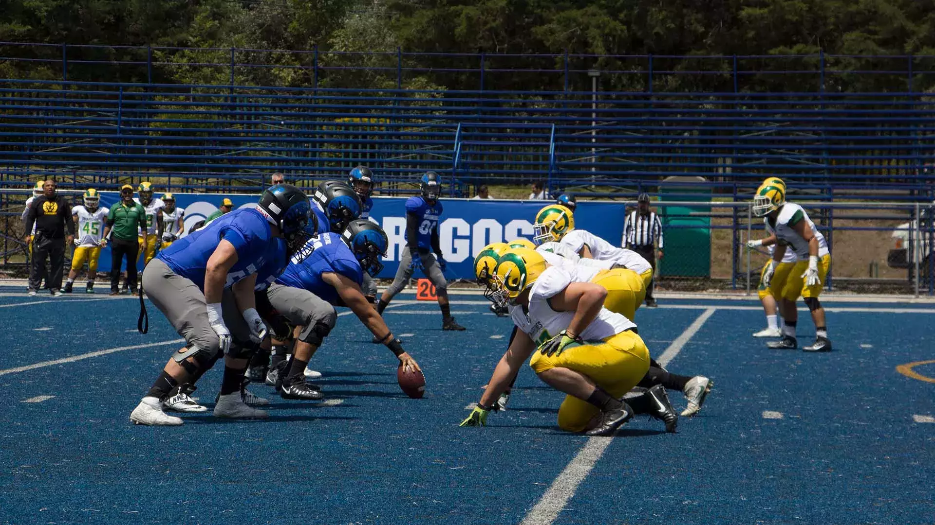 Este fin de semana los Borregos Toluca sostuvieron su encuentro de inter grupos dentro de la CONADEIP en donde recibieron a los Cimarrones de la Universidad Autónoma de Baja California Campus Tijuana a quienes vencieron por marcador de 50-0.