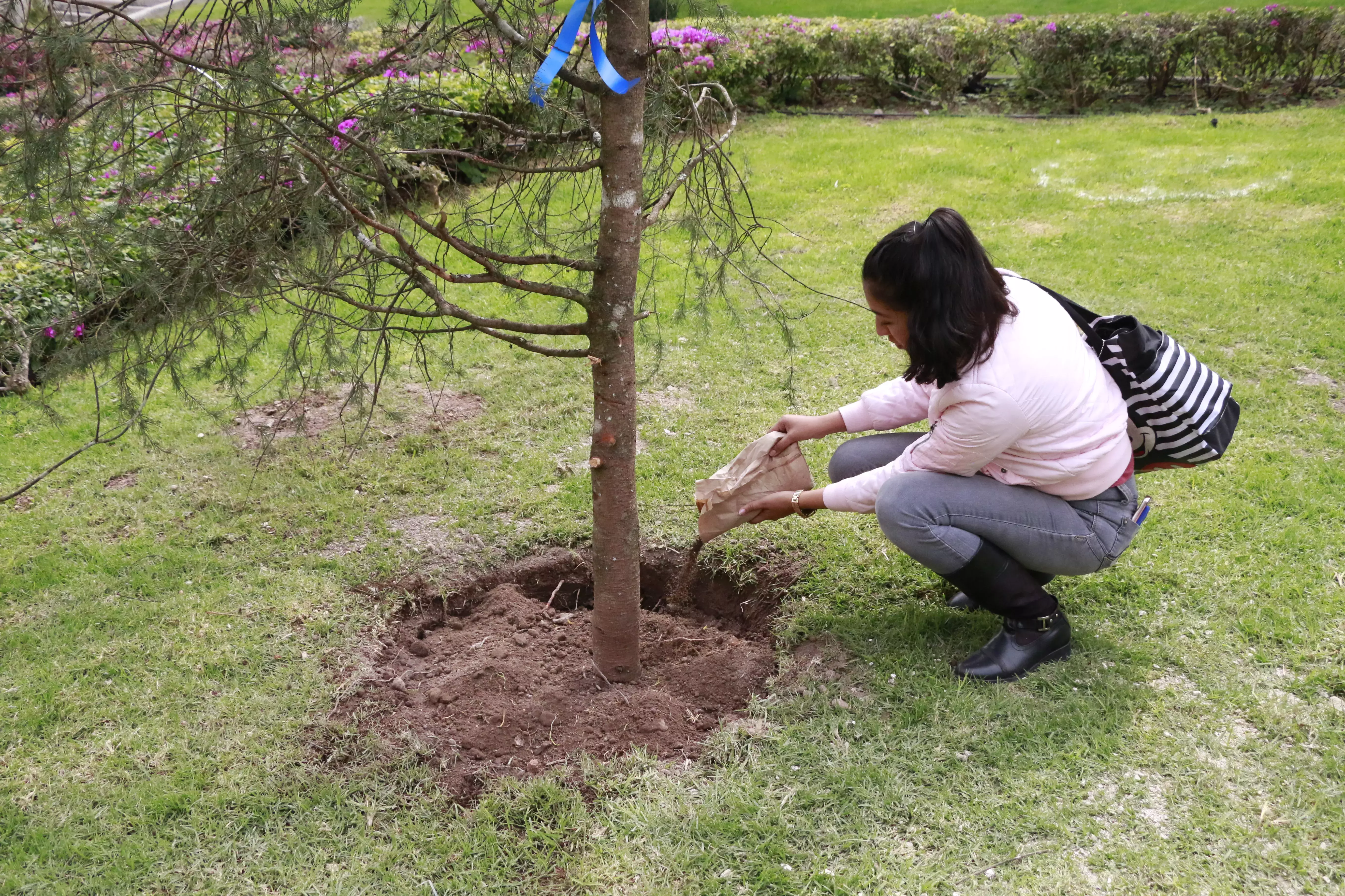 Alumnos siendo parte del jardín de las carreras