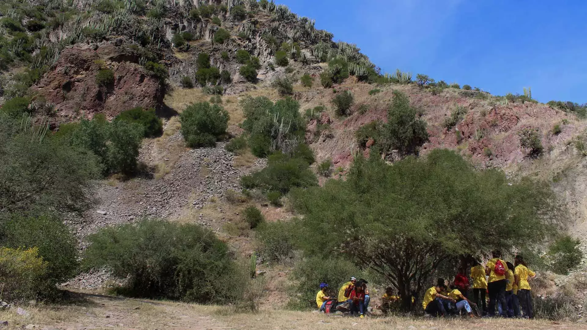 Alumnos del Tec en el desierto de El Alberto