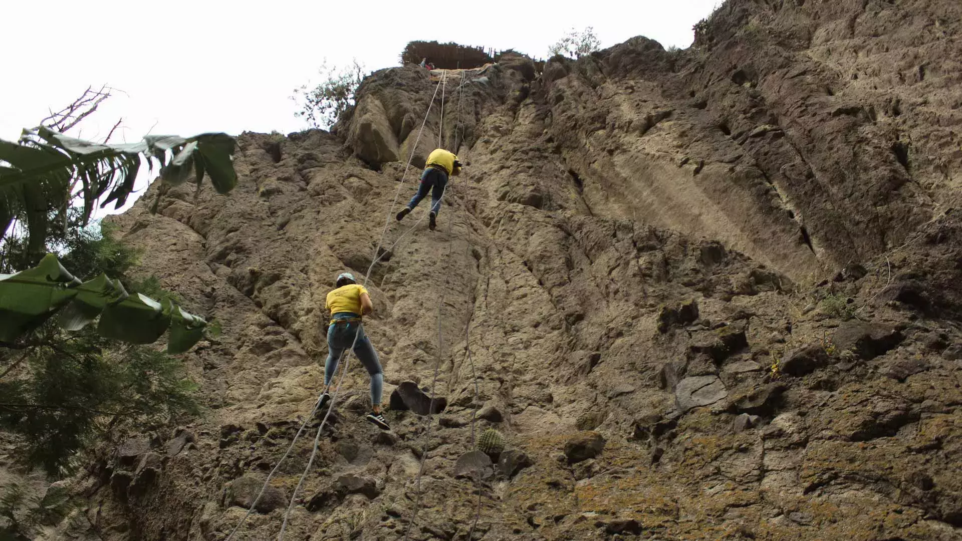 Alumnos practicando rappel en el Parque EcoAlberto