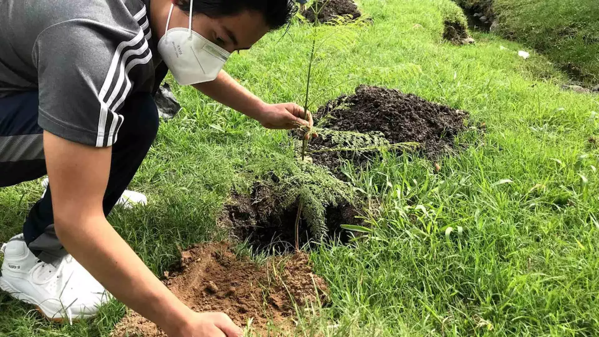 Moviendo y trabajando la tierra con las manos desnudas.