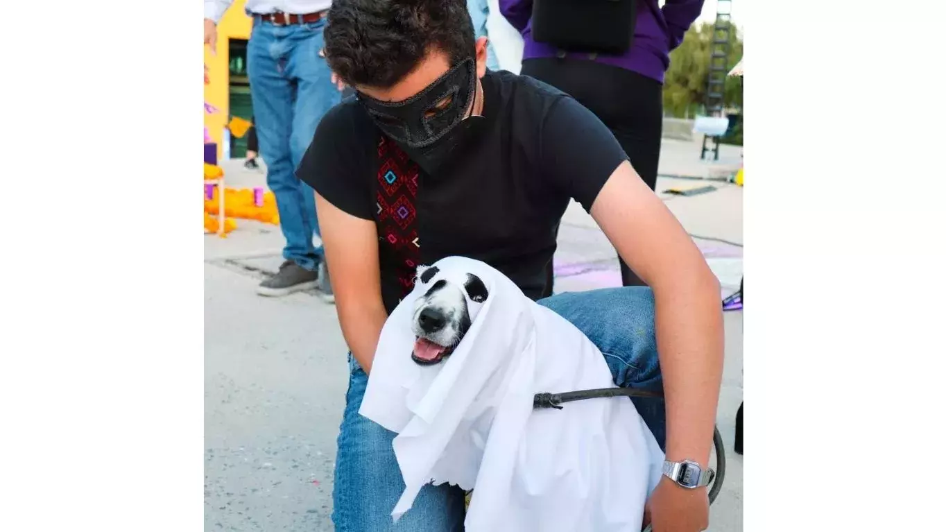 Actividades del festival de la catrina en Tec de Monterrey campus San Luis Potosí