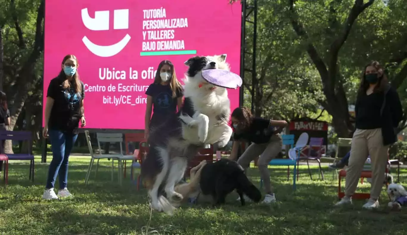 El perrito "Jack" jugó con su frisbee durante la dinámica del viernes pasado.