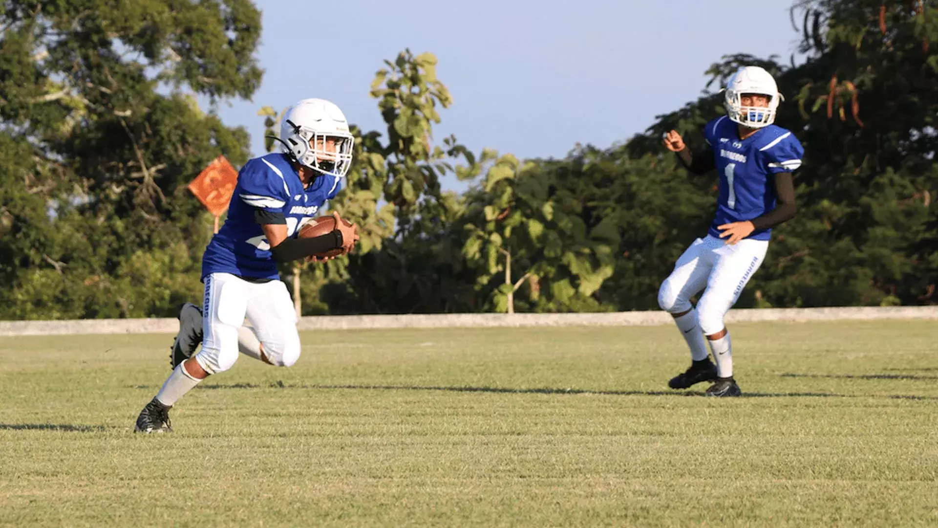 Partido de Borregos Tec