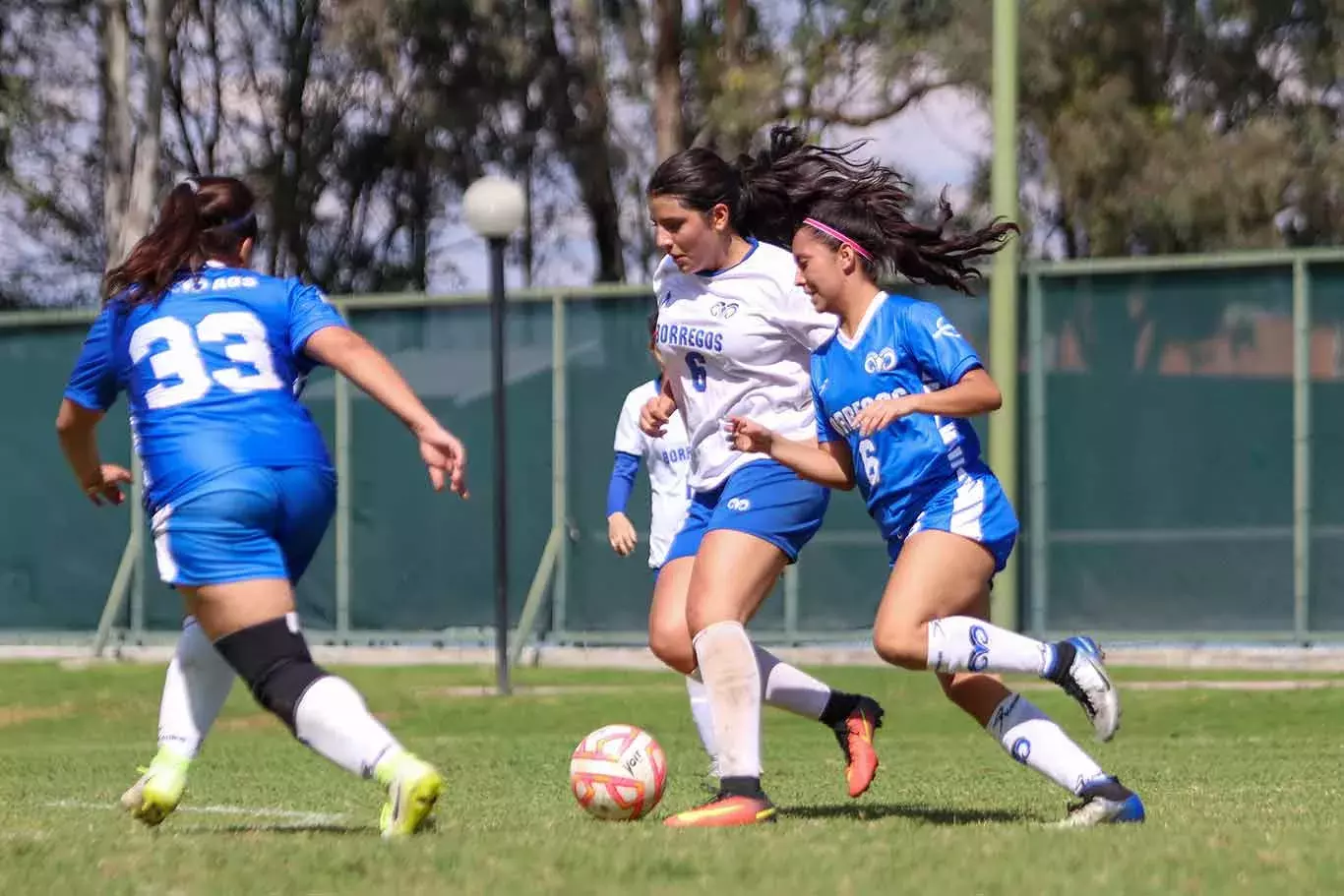 Borregos Intercampus 2022, encuentro deportivo del Tec, realizado en campus Guadalajara.