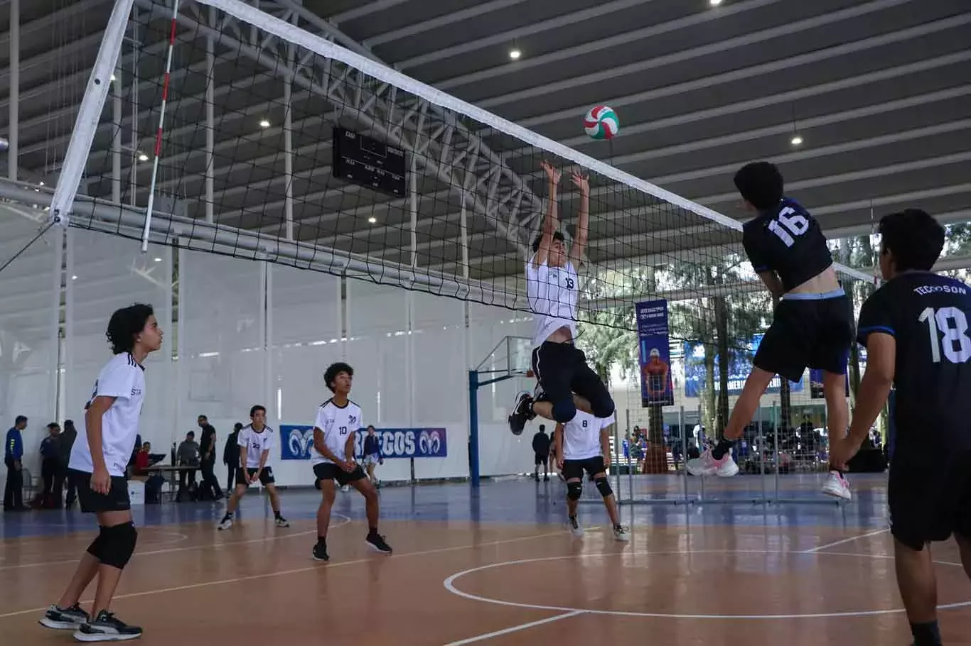 Borregos Intercampus 2022, encuentro deportivo del Tec, realizado en campus Guadalajara.