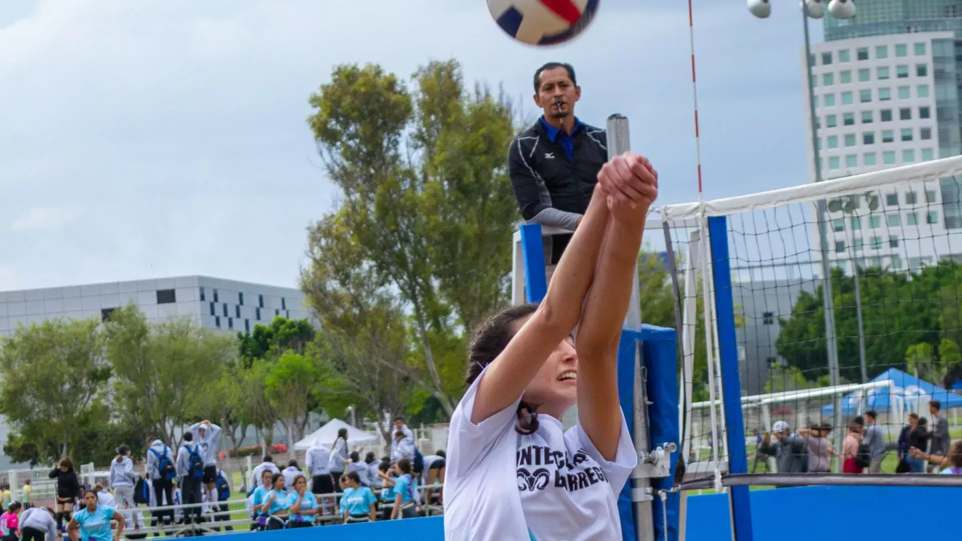 voleibol femenil