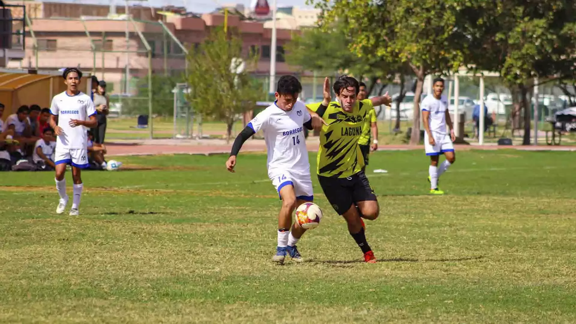 Borregos Laguna contra ITL en futbol soccer varonil ADUL