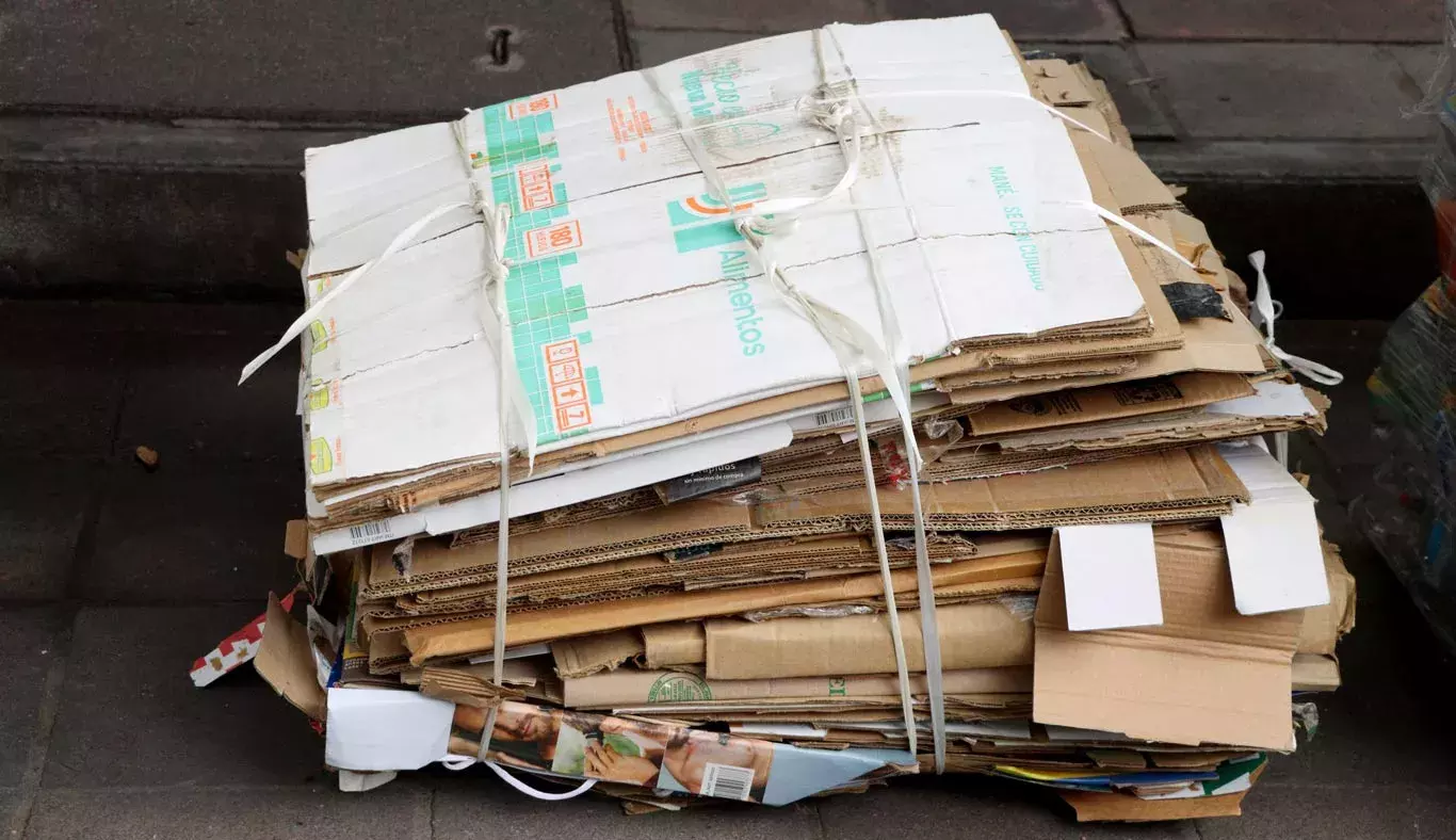 En el campus Monterrey se depositó cartón para ser reciclado.