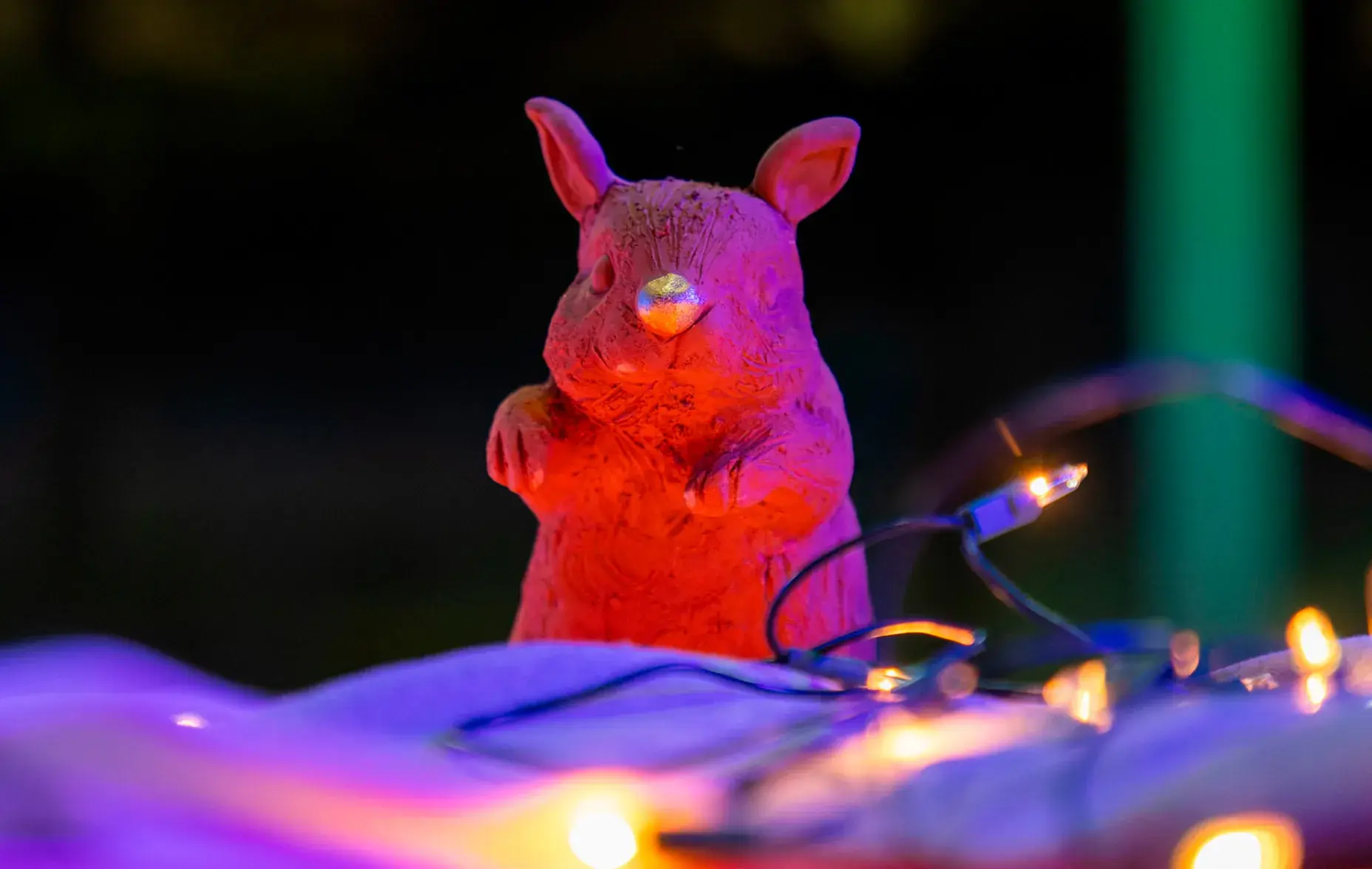 Identidad, expresión y cine: así se vivió Lago Cinema 2025 (Fotos)