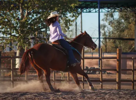 Joven cabalgando sobre un caballo