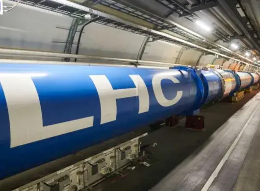 profesores presentan proyecto cientifico