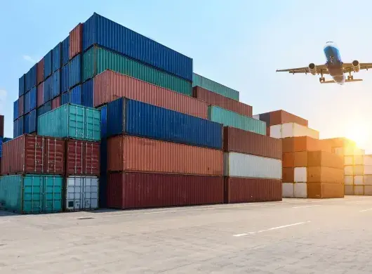 ganadoras concurso de logistica