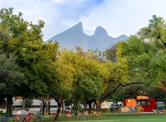 The importance of trees at the Tec