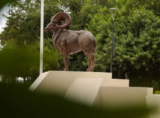 Certificación STARS Tec Aguascalientes