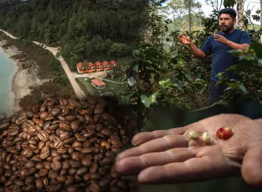 Cabañas de turismo en Chiapas