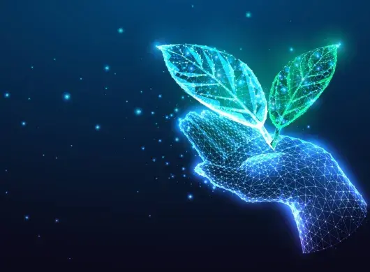 Mano sosteniendo "la naturaleza"