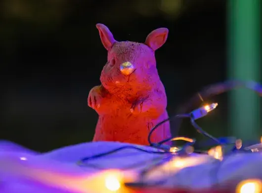 Identidad, expresión y cine: así se vivió Lago Cinema 2025 (Fotos)