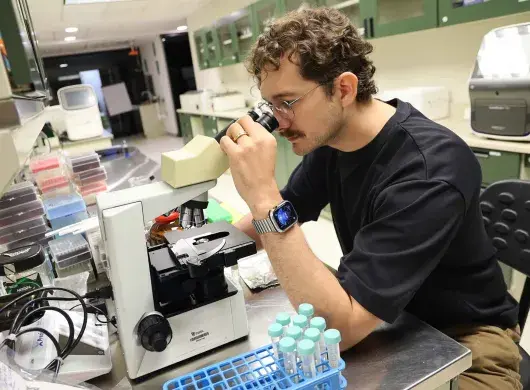 Investigación sobre sostenibilidad de Diego Vazquez, del Tec Guadalajara.